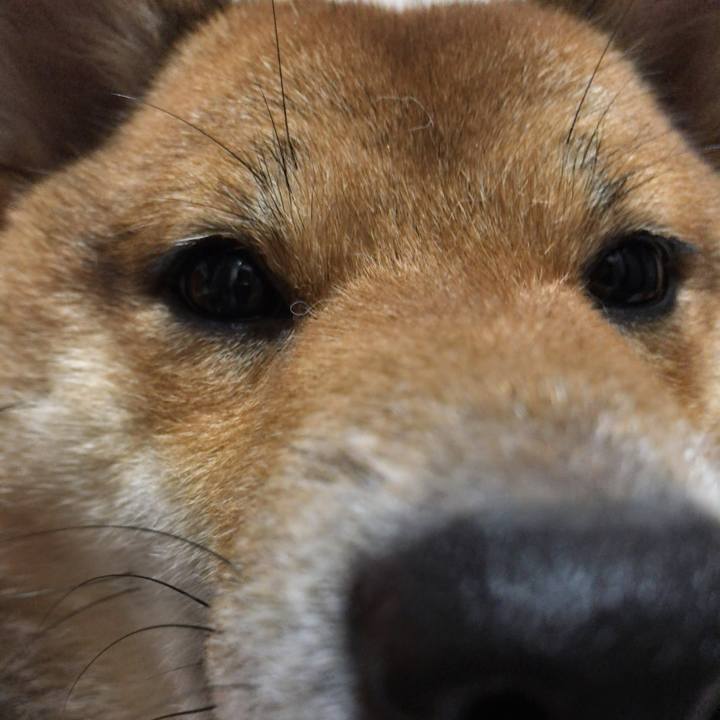 48c285f5 b3b3 497f b264 4d4e4b70ebf1 1521452406768