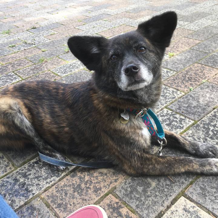 48c29b01 5620 48d7 83d4 b7183f8ec1da 1560776407585