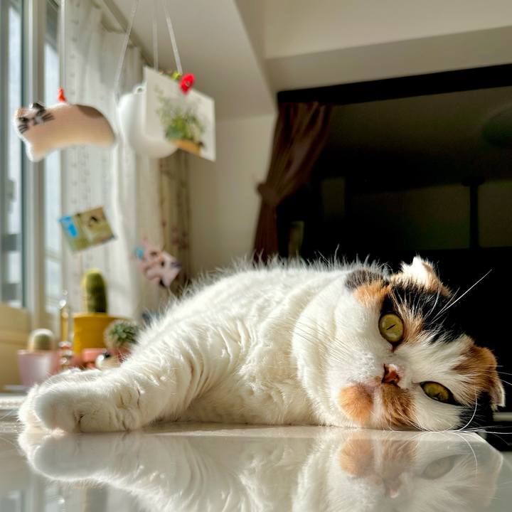 48c2a640 8522 44d8 9356 6c06e7cbaf5b 1690874140105