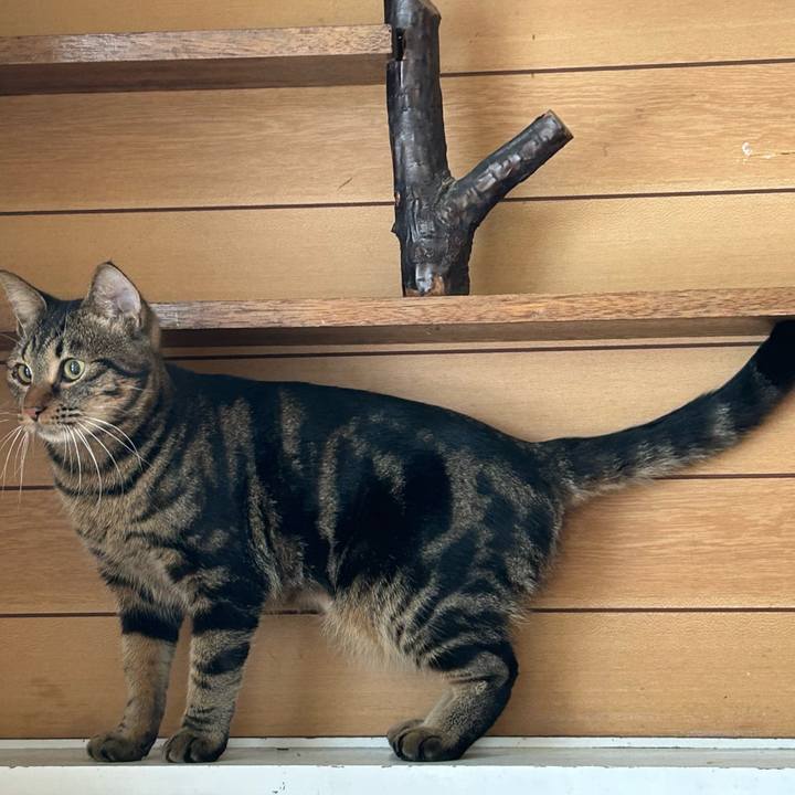 48c2d814 606c 4579 b445 421020c0eb7c 1763778481186