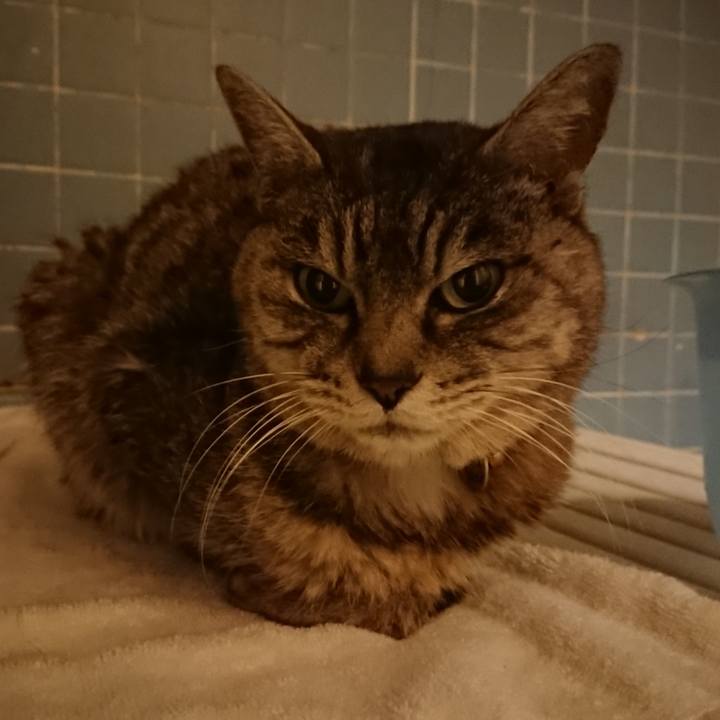 48c2f363 8eff 4cab 81d8 fdc234d48f4c 1579684173232