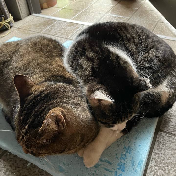 48c314fd 582d 4ec5 8dc6 bc4bbc313458 1613359453555