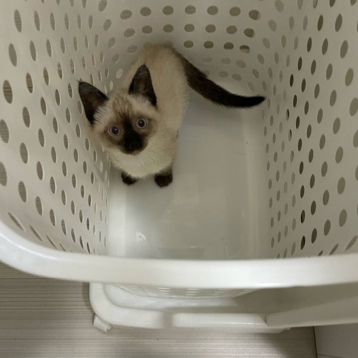 48c3301f a6fd 44c9 ad4e cac33adc2091 1688505934313