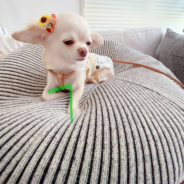 48c350af 1ce3 4f76 8c99 557451b138c7 1687259340217