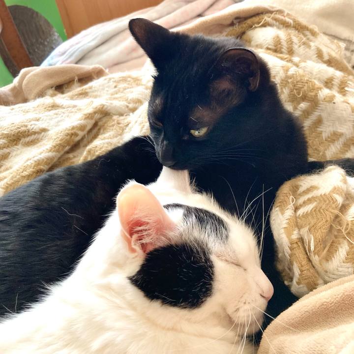 48c3bb3d 9217 4eab bb47 9893989ee277 1649491456924