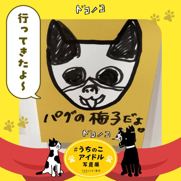 48c3e4f9 3480 44c9 836e b7f2c55f9faa 1761998882127