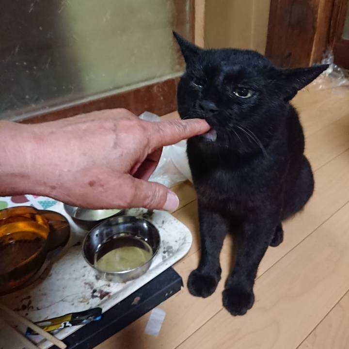 48c496bd a98f 417f b908 f62f0aab8838 1627990048029