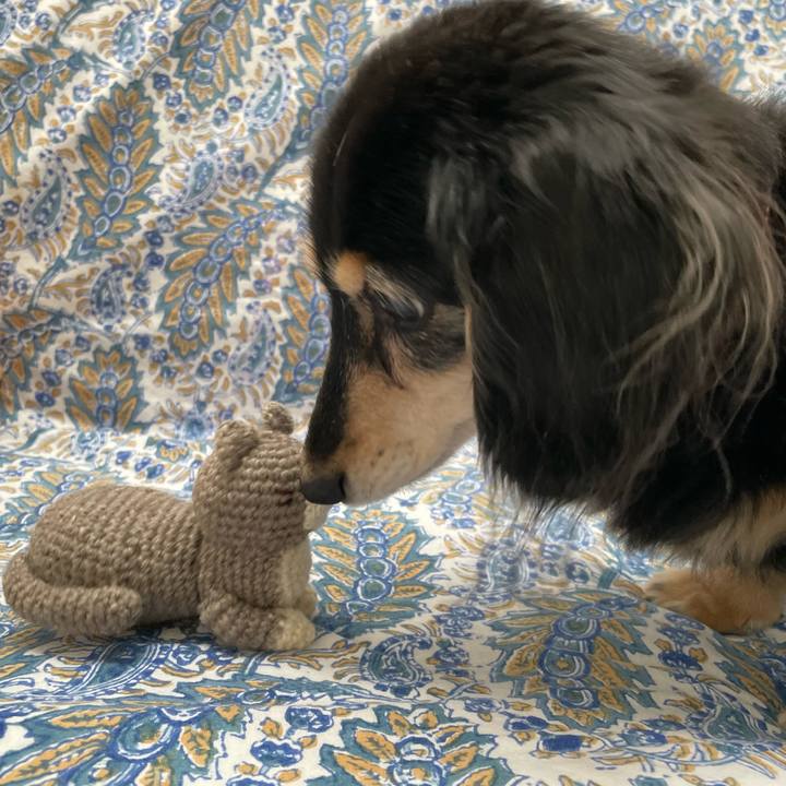 48c4a404 2ce6 440e bbcd d119c18689ac 1695037151280