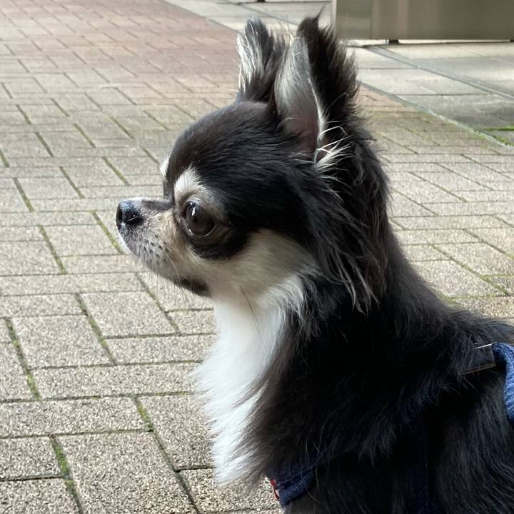 48c4bc87 b5fe 4ac9 9246 27fed893e7e8 1634359803257