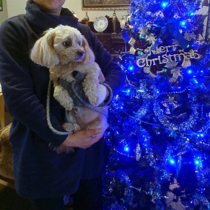 48c51d2f e4b8 4985 a18d 799ae63f6c88 1514017266643