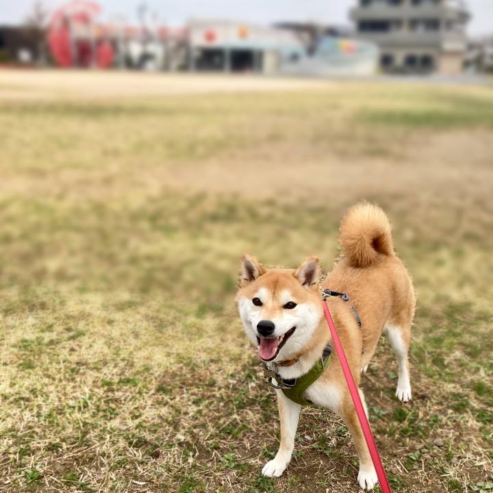 48c540f9 ed41 476e 98e7 13b1b1f68a7f 1679016332561