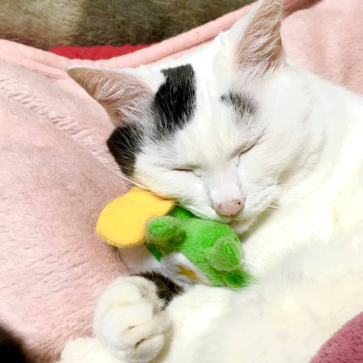 48c58044 372f 471e 9382 bca7e0840c2c 1571406422128