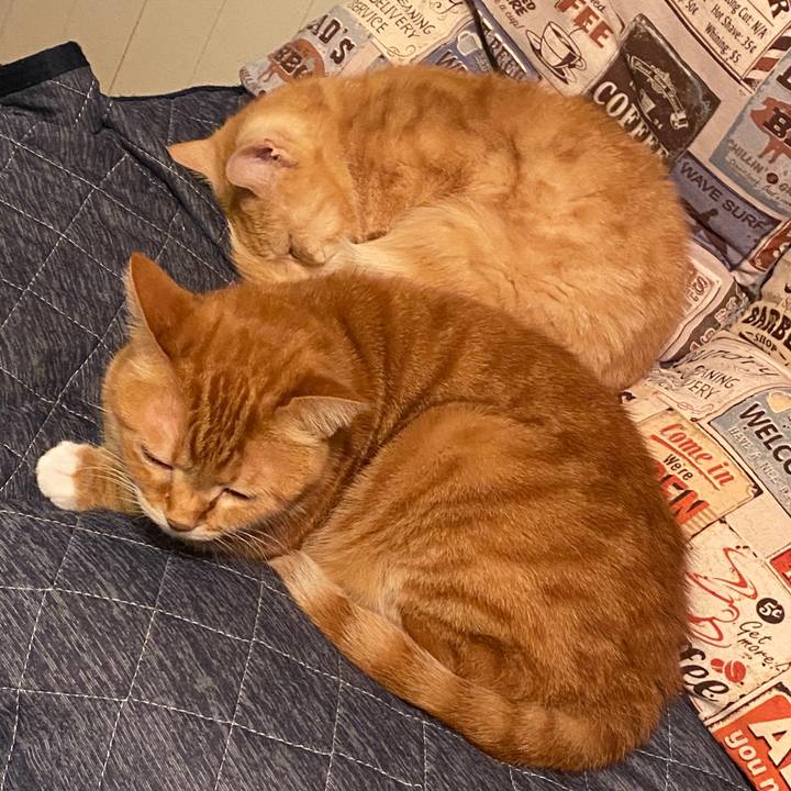 48c5816f d724 42fb 83ce d9b3afd98c6b 1585840172706