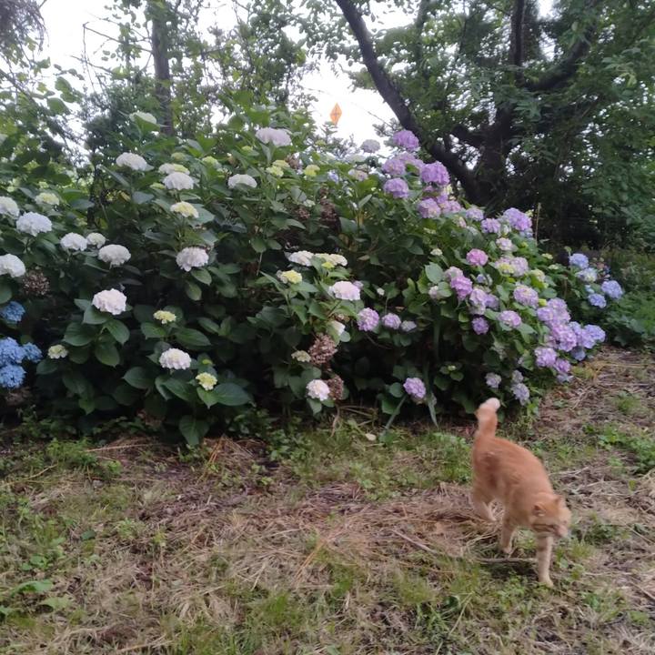 48c5a26e 872c 4129 a501 ece77d78498a 1719267196557