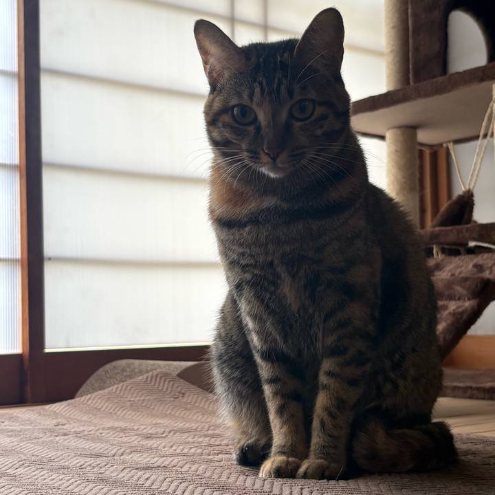 48c5c4f9 e821 4104 8aa3 bc538f4bd3bf 1760663168056