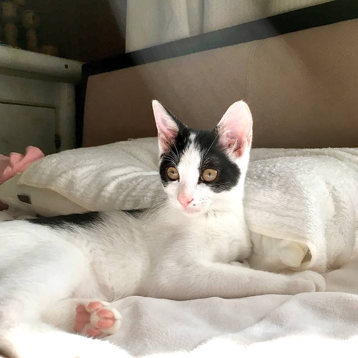 48c5dbc7 38e9 4159 8b5f 822de6a5cc80 1630121890479