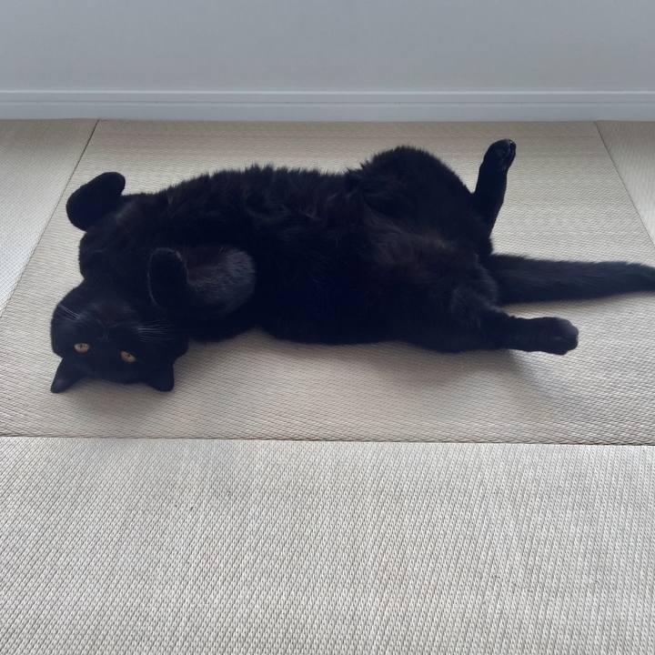 48c5e7be 06a9 4762 9272 06b042581a9c 1586646185640