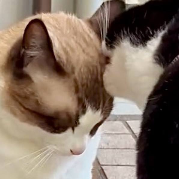 48c63bae cb49 48ef a0c3 f65985ae5d74 1757333083596