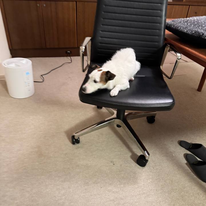 48c6700b 8a92 452e ae4f f64783b5fd12 1763749240985