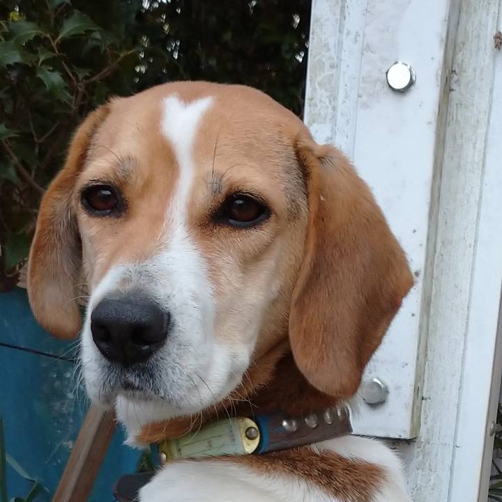 48c685c0 4db3 4096 ab7c 5936df68d11b 1610892990580