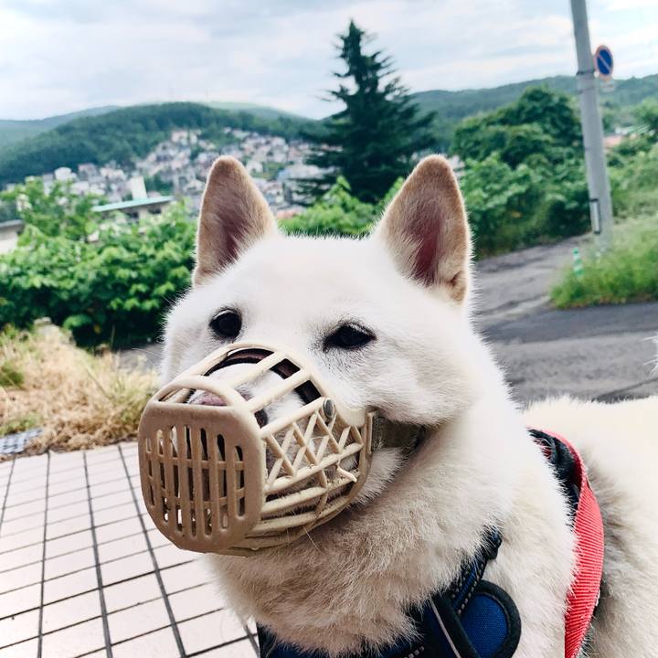 48c689e8 774a 43f5 8873 37e2dc6610da 1624489624303