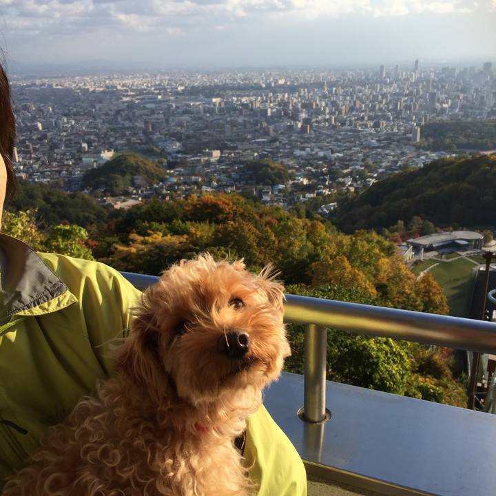 48c68f15 55b1 46ff 9952 c19145e99a9b 1508023058887