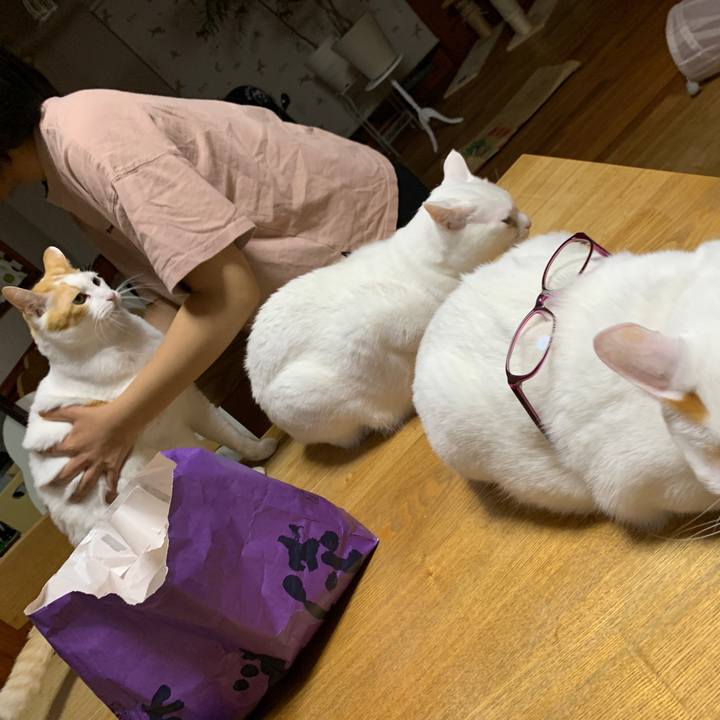 48c6962a bea3 4852 a5a9 dd7a1ba85cdc 1667655433559