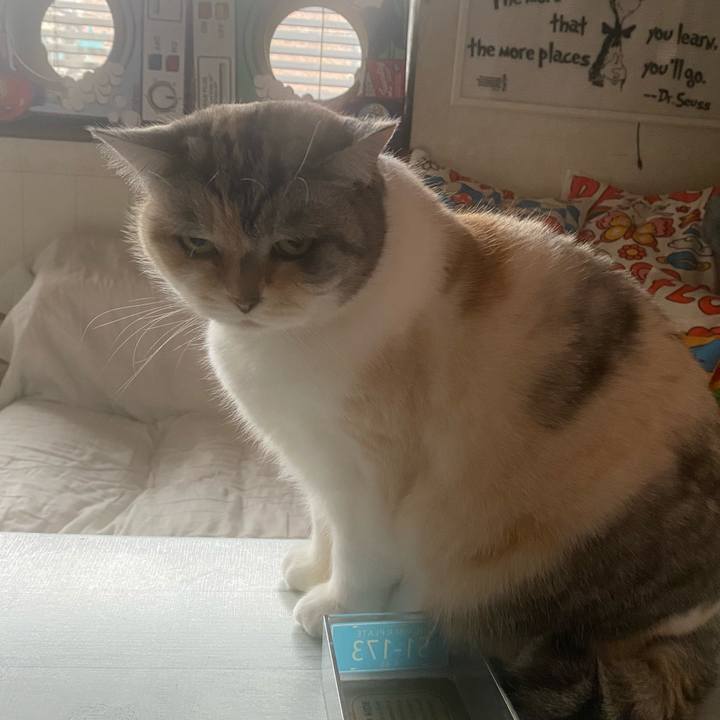 48c6ed01 e212 4a6e a2a0 632ce5bdf311 1705710423693