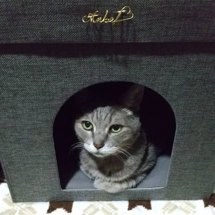 48c718d7 cb62 4f8b 8319 fdc2e925ffe4 1667222382281