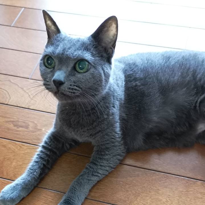 48c71f0e a93c 4621 9238 db2e7cd73b4a 1599342148565