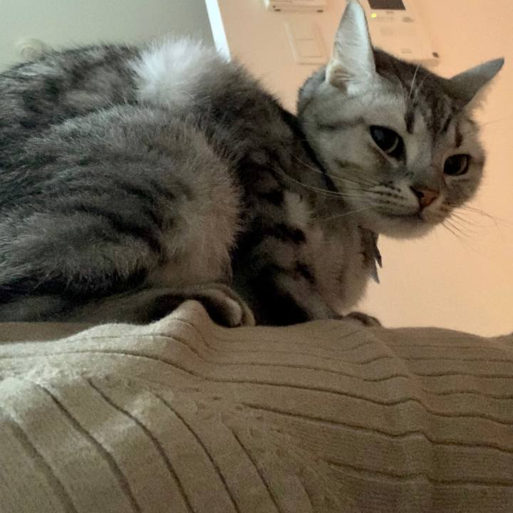 48c72a91 be92 4750 b3f3 b5e1e62a2e7b 1573825635991