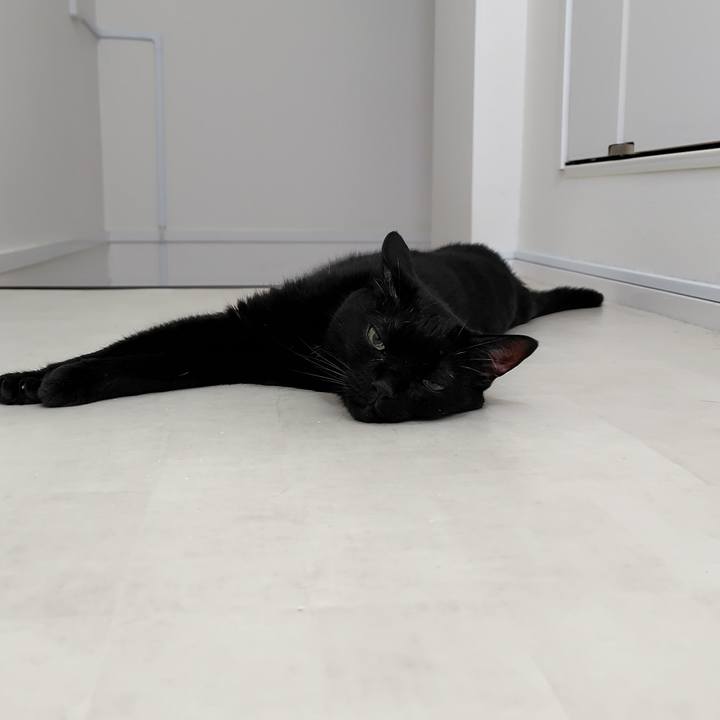 48c73b16 2e02 4975 8754 1a509bcf6d2c 1749461436605