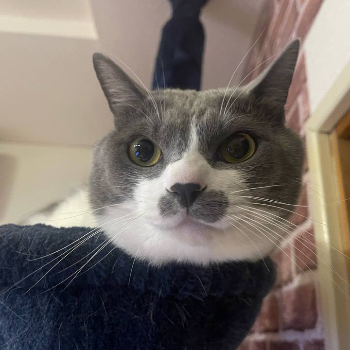 48c7452c 2efd 4d0a 88d9 65198ae791c3 1666871389689