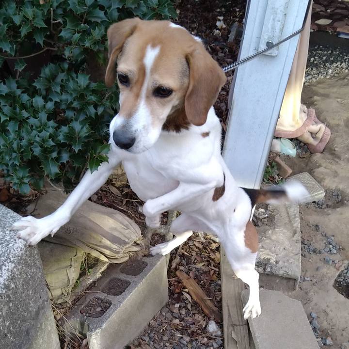 48c76cd0 7502 414d bc6b f7d4a438ae90 1644499555135