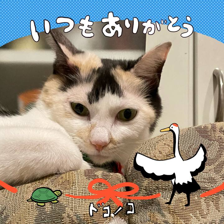 48c770fa 2252 4631 9628 dc3bb86da129 1727268887715