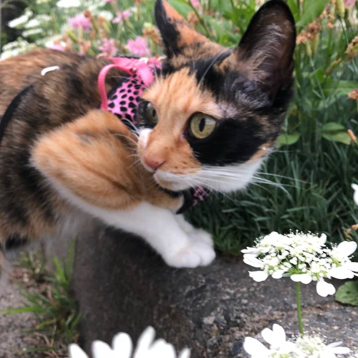 48c79465 ff6b 46b0 a850 7b20dfc64f5b 1604887440360