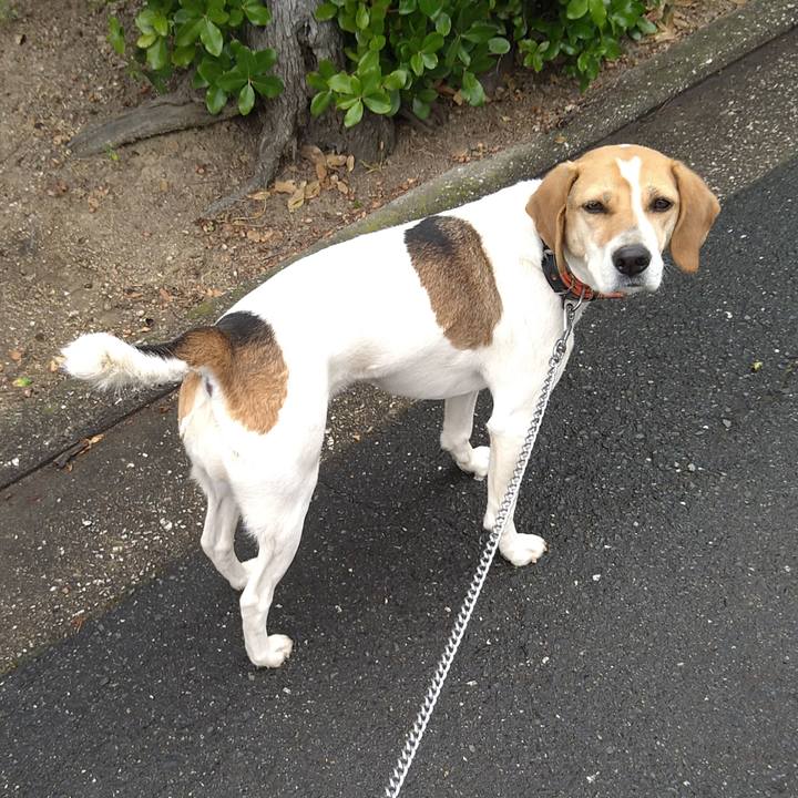 48c7a899 7932 4dc5 8954 ccbcf2872268 1620820416328