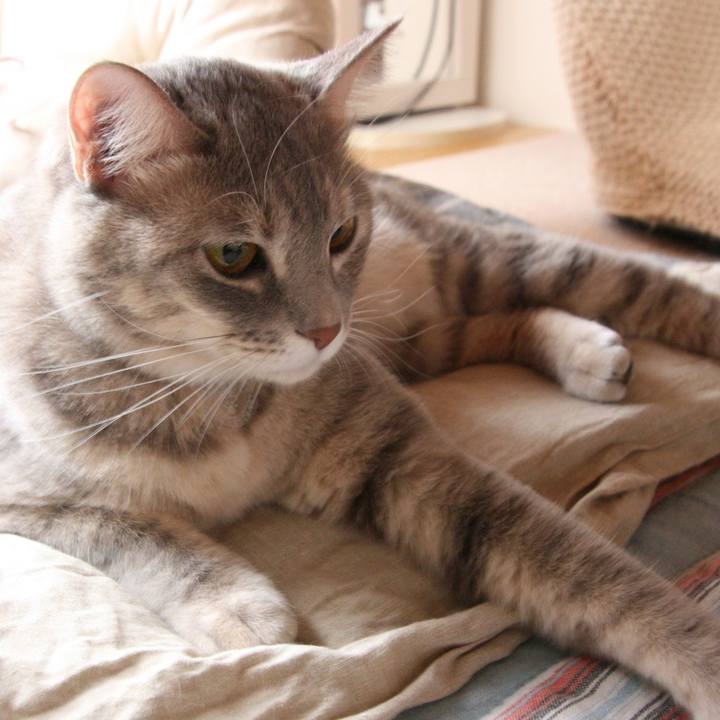 48c7f6e3 080f 44d9 a957 c0538874a642 1508669403192