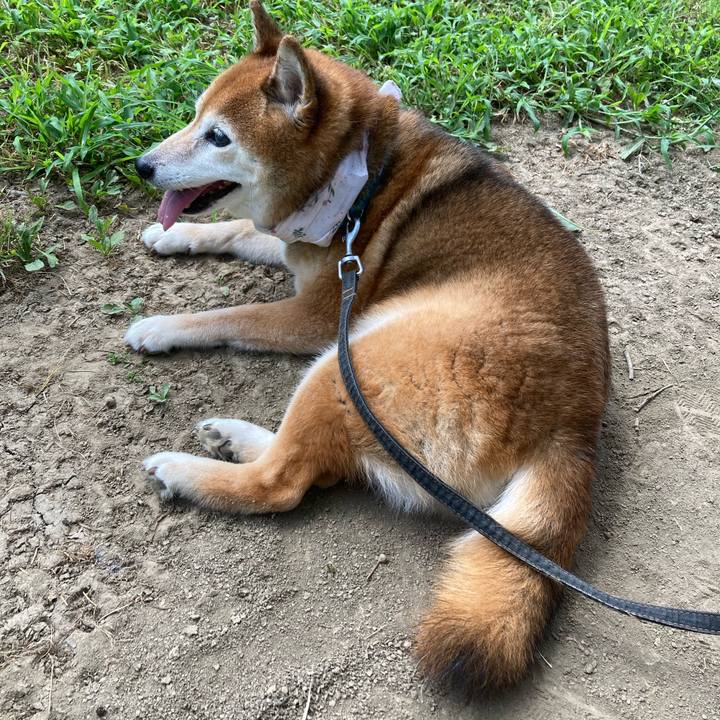 48c81e4d 1ce6 4c3f 9f63 dadb412a30e3 1723011914634