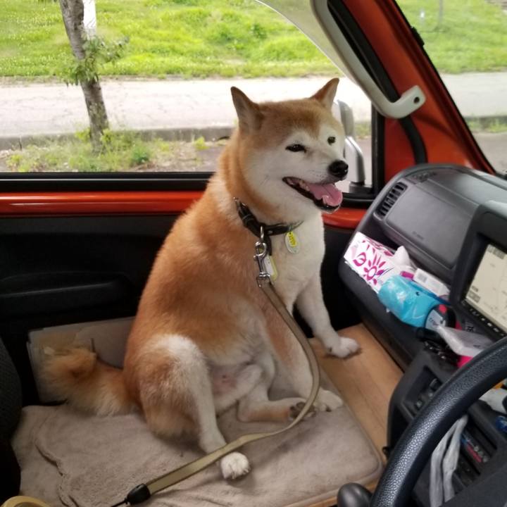 48c833cc 9d5f 4dcf bc7f 59a9518dc6e9 1658653994215