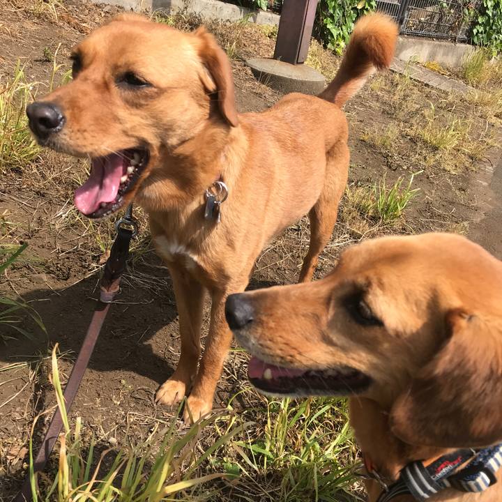 48c83fbc 20b4 404b 9fe5 0c2f6282b0e8 1525055786909