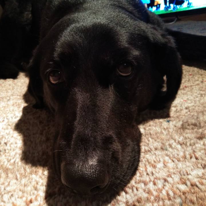 48c843ec 9b58 4af7 acbd 6fcf2a4504b7 1589023062824