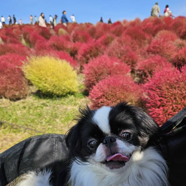 48c865fa 9aad 450b b1e8 5ce04ff6a893 1697711038598