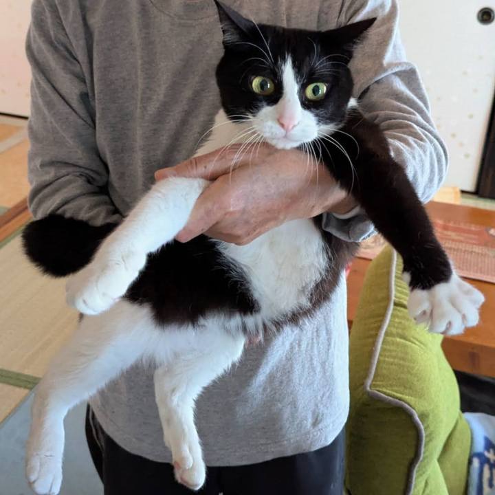 48c86c1d 2539 40bd 9b3b f4ed8e6db5e1 1745218274900