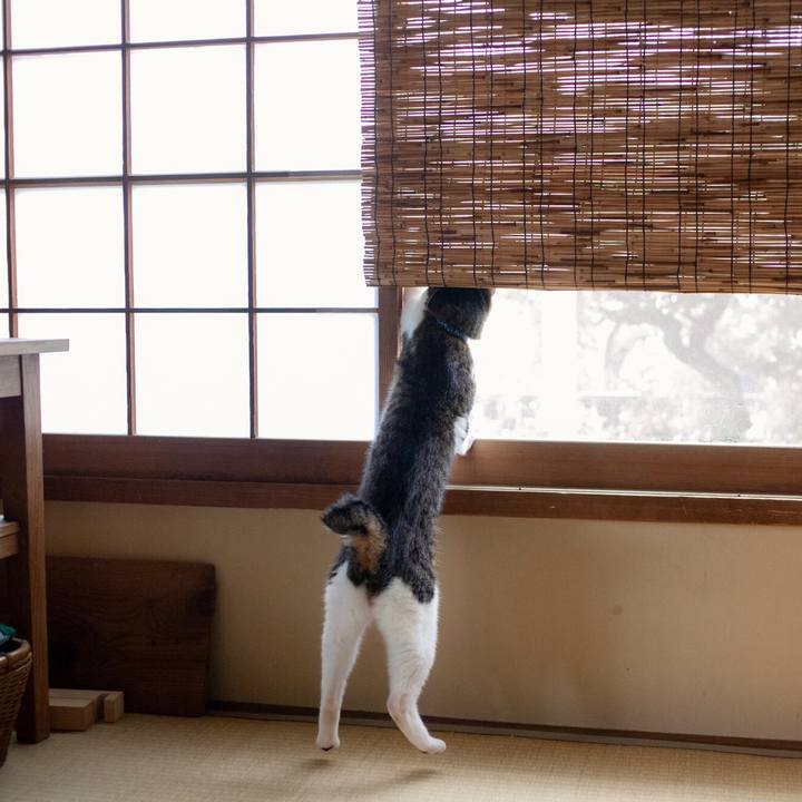 48c8776a 2fcc 4c1f 86dc 2d02d6471861 1564880057823