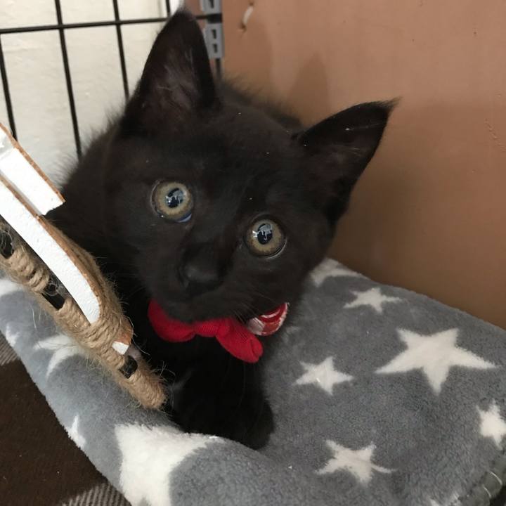 48c8d70a 4119 4643 b651 b3bc7bcfe561 1658999665716