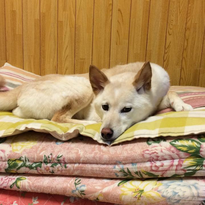 48c8d9c7 1eda 4578 ad61 c87678b23338 1592307406481