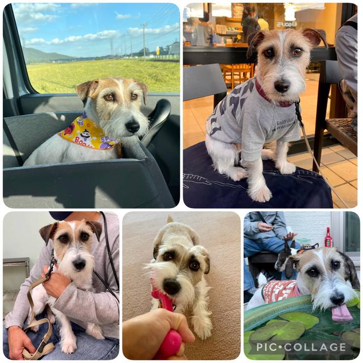 48c8ec92 02a1 4410 a238 0fb97abcc830 1635339732878