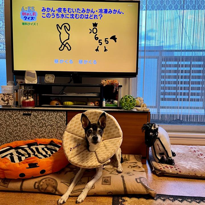 48c91202 be7a 4f09 aebb e2cd72a6716d 1638915137131