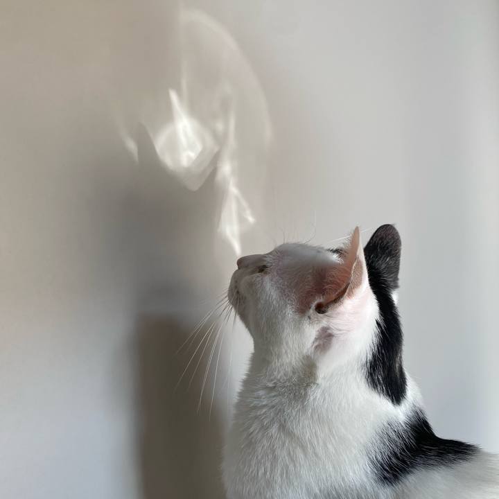 48c92d19 87a6 41d7 9d7c ad75bd984b53 1748165211456